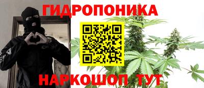 амф Владивосток