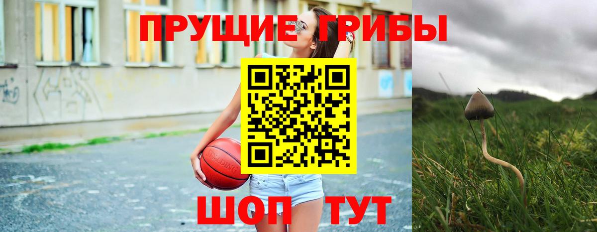 Галлюциногенные грибы GOLDEN TEACHER  Вход с VPN  Октябрьский 