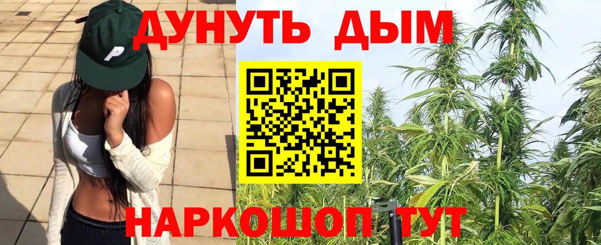 Каннабис MAZAR Октябрьский